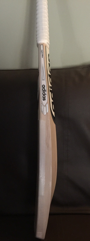 8FFE3451-B7E7-434F-BD0C-40E81E8CC071