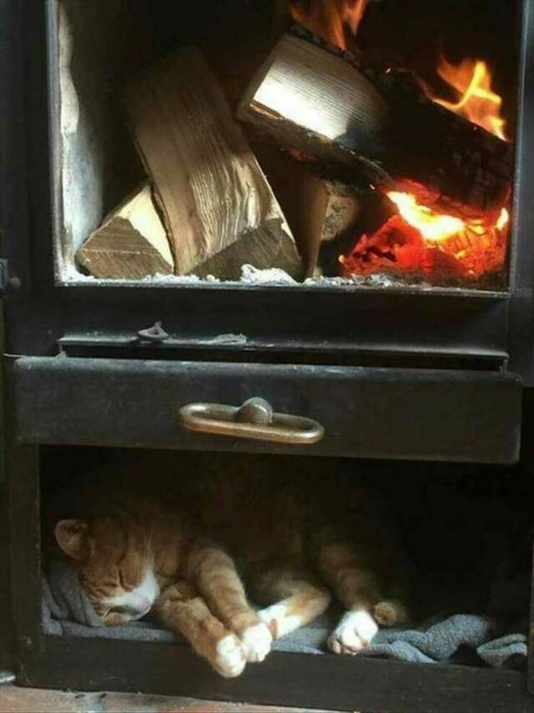 picdump-kw44-2024-019.jpg