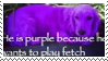 13purple
