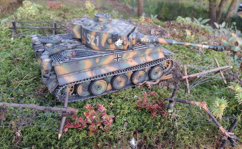 IMG_20241024_170606941