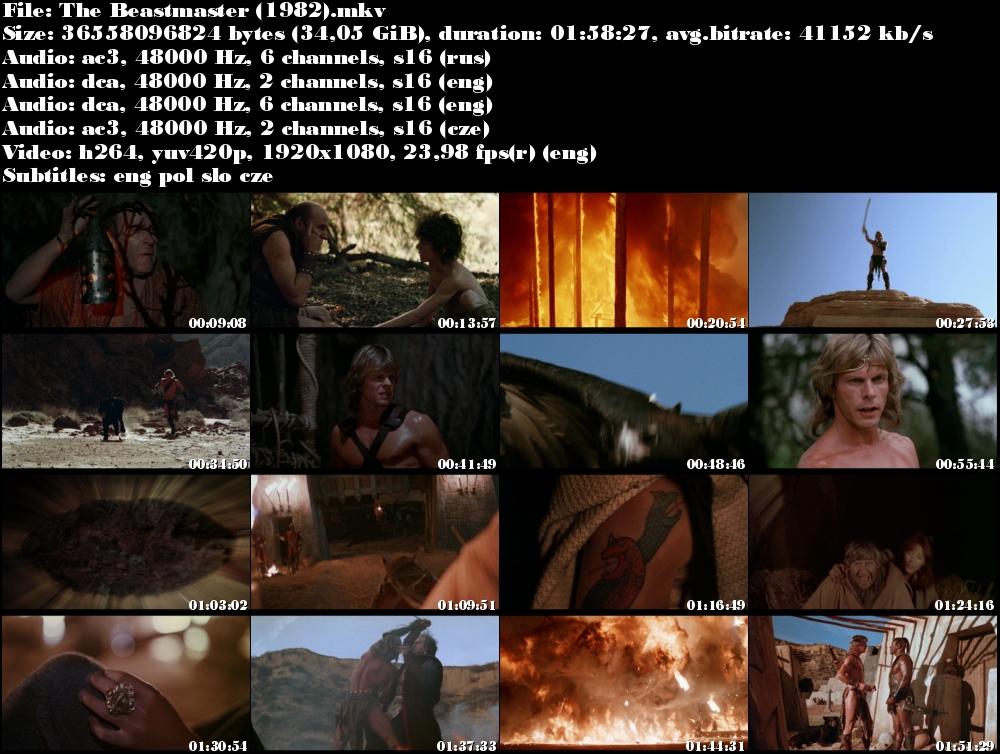 Pán šelem / The BeastMaster (1982)