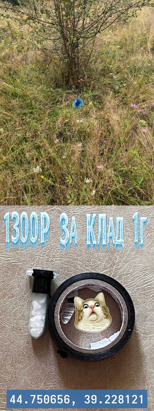 t Gx T3r6d