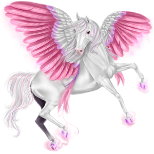 IMG-2244.png