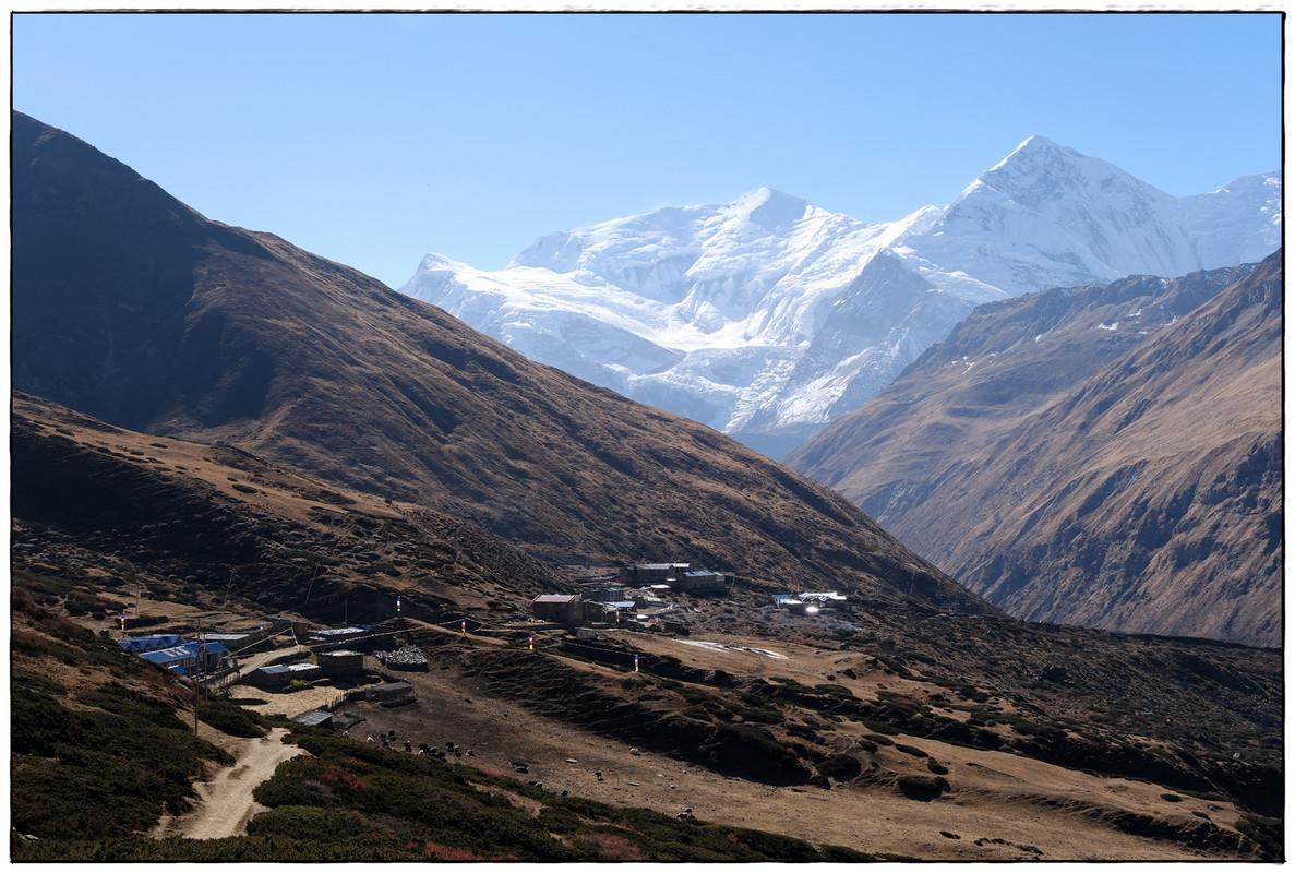 AC día 11: Yak Kharka (4069 m) a Thorong Phedi (4540 m) - Trekking en Nepal: Annapurna Circuit y Mardi Himal (5)