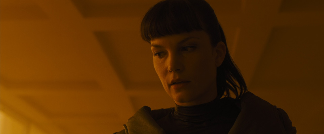 Blade Runner 2049 2017 (1080p x265 10bit Tigole).mkv_snapshot_02