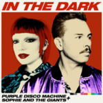 220px-Purple-Disco-Machine-In-the-Dark.png
