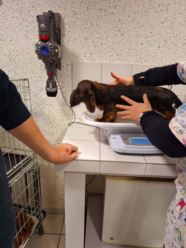 [Image: IMG-20240201-181058.jpg]