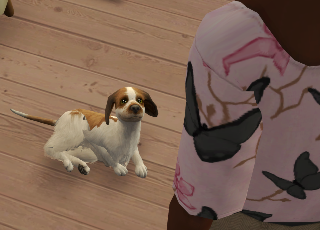 Sims2-EP9-RPC-2024-11-17-13-28-19-84