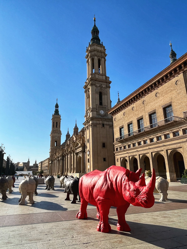 ¿Algún forero de Zaragoza? - Página 12 IMG-7190