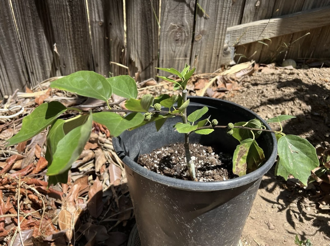 68D5FDA1-7ED0-4217-BD79-1264A8779C61