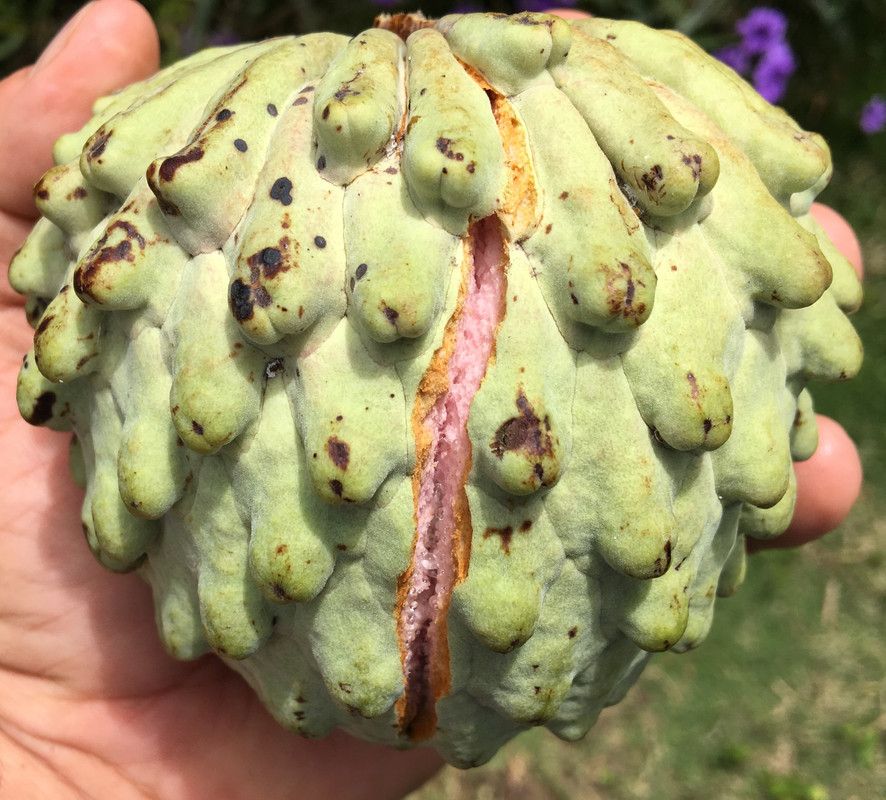 E4926AF7-ECC4-461C-A981-3601B6961D6B