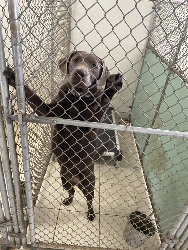 3E9C9641-0973-464C-868F-3F91DE07C1F9