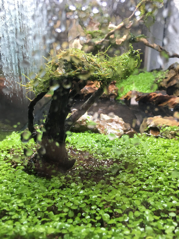 4B6455BF-D159-4745-8C78-57C97C82882C