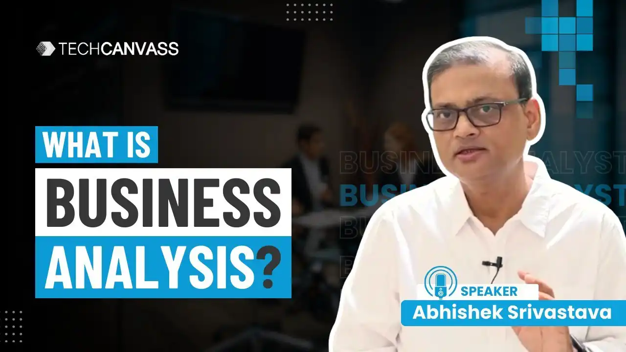 What is Business Analysis?