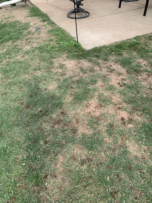 FF5DEE43-6DFE-416C-BFBF-47CBF3F26815