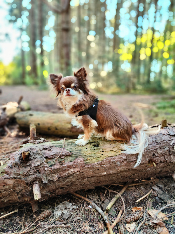 Lumii_20250427_173015474