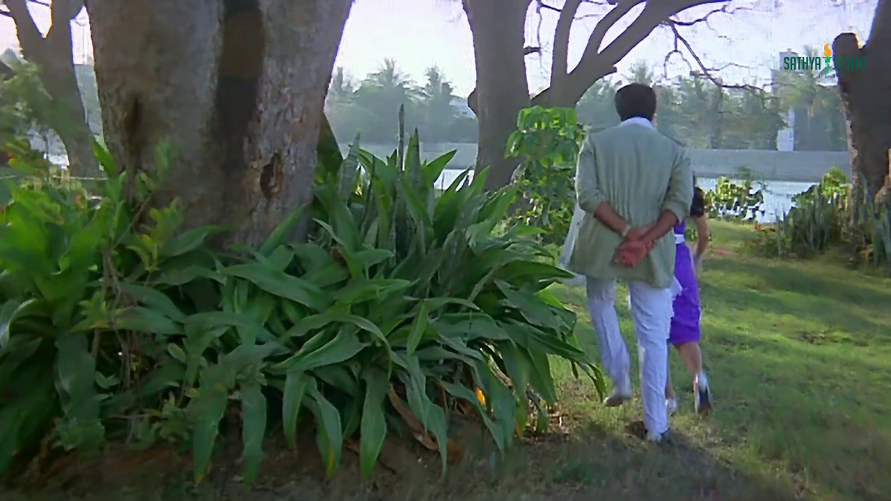 vlcsnap 2025 11 29 08h50m45s406