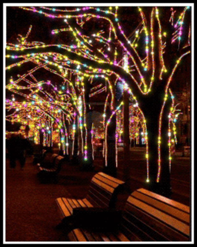 0FC0B660-F18B-4D76-89CD-A06FA6C58B2D