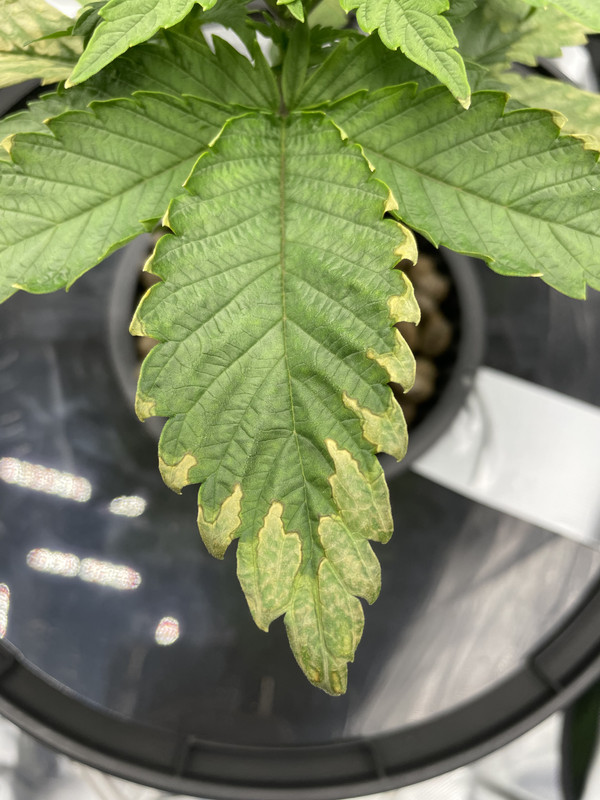 6C338642-F7DD-4159-9191-1DC2D73834D1