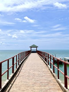 Indonesia, Singapur y Malasia 2022 - Blogs de Asia Sudeste - Día 15,16,17 y 18. Penang (8)