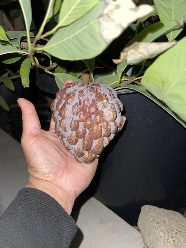 21BCD92A-83A6-47C3-8387-99E6E7B9980A