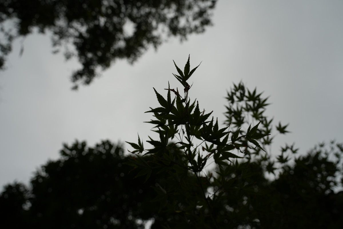 DSC04841