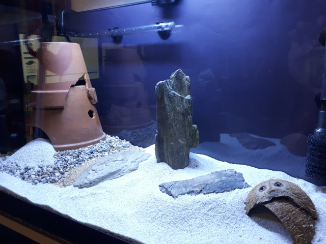 20190721_213707 (FILEminimizer)