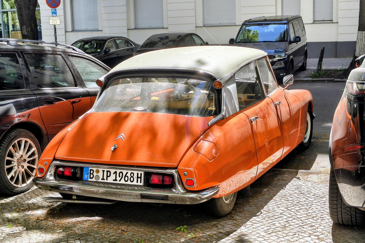 IMG-20260501-123558100-HDR-2.jpg