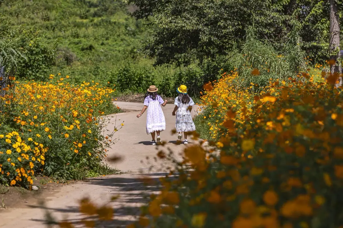 yellow-children-6628343-1280.webp