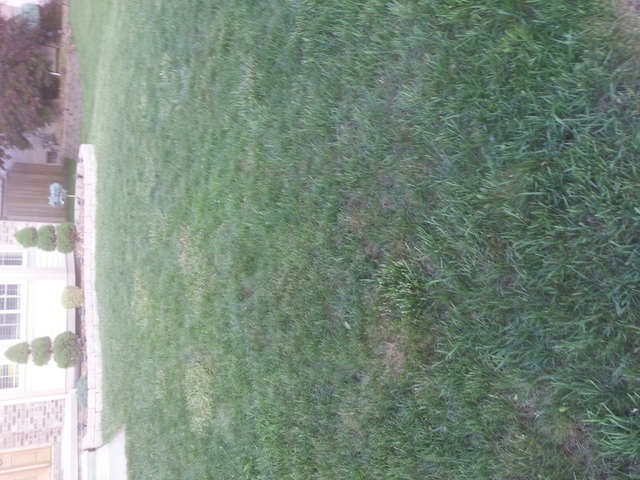 tmp_20140605_203419-2022534287