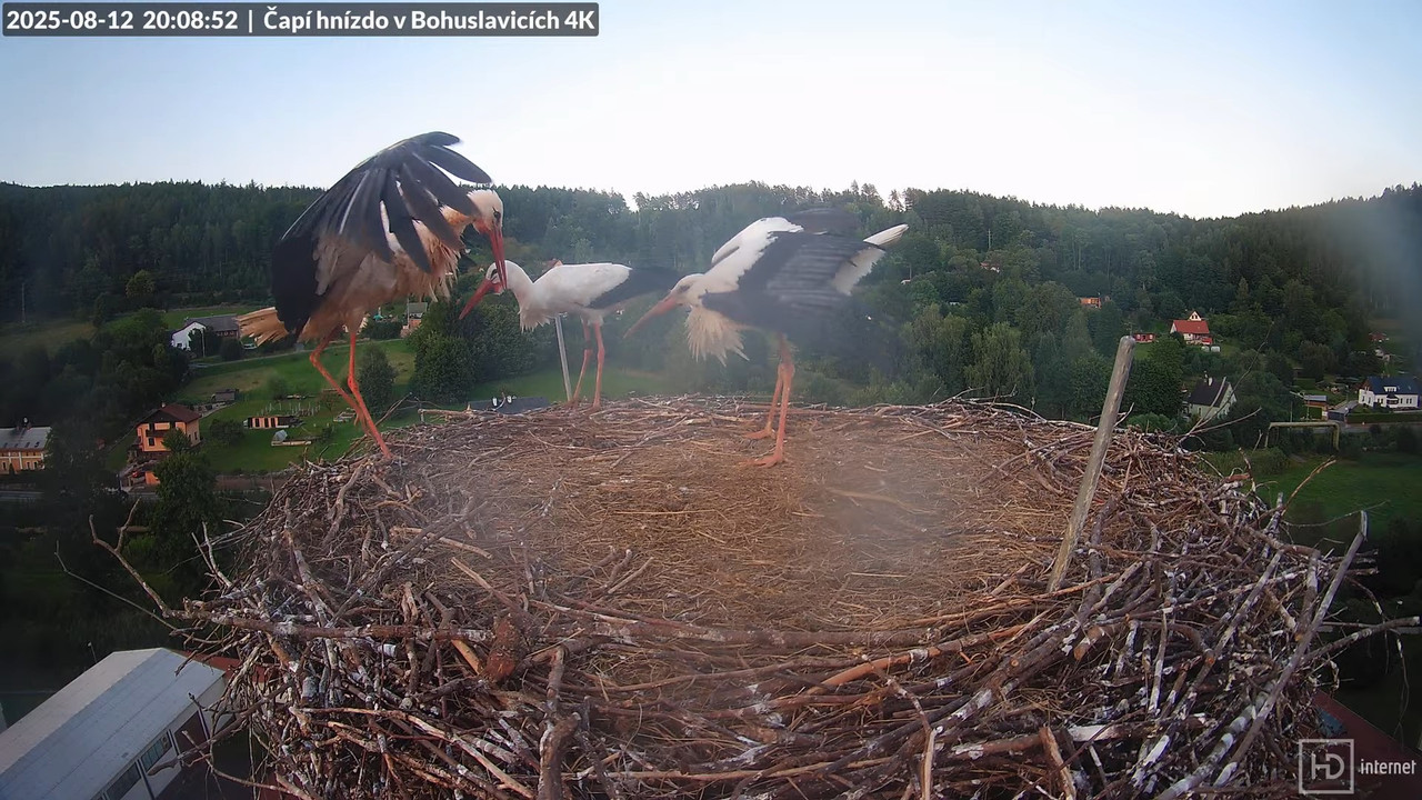 Tiešraide no KARA uzņēmuma stārķu skursteņa Bohuslavicē netālu no Trutnovas 16-17-31 screenshot