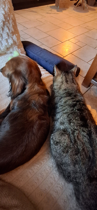 [Image: 20251017-185631.jpg]