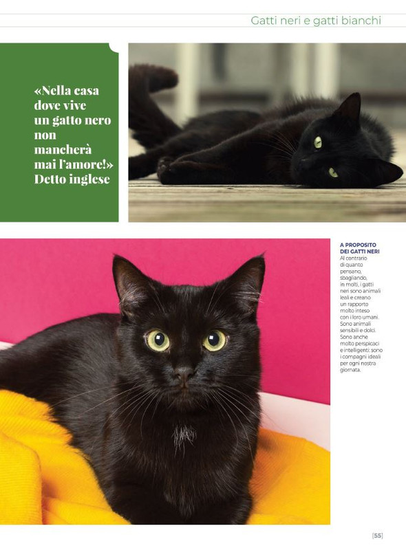 Ga Ma Feb-Mar 2022 (12)