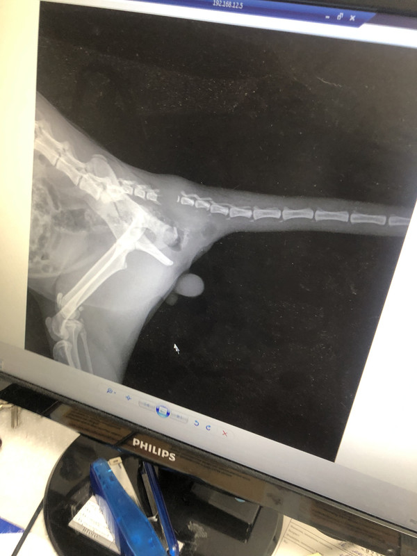 998B52FB-FF3C-4CB5-B91C-0FA183C46F22