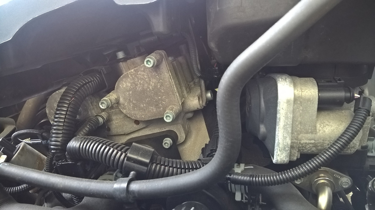 WP_20160526_09_55_51_Pro