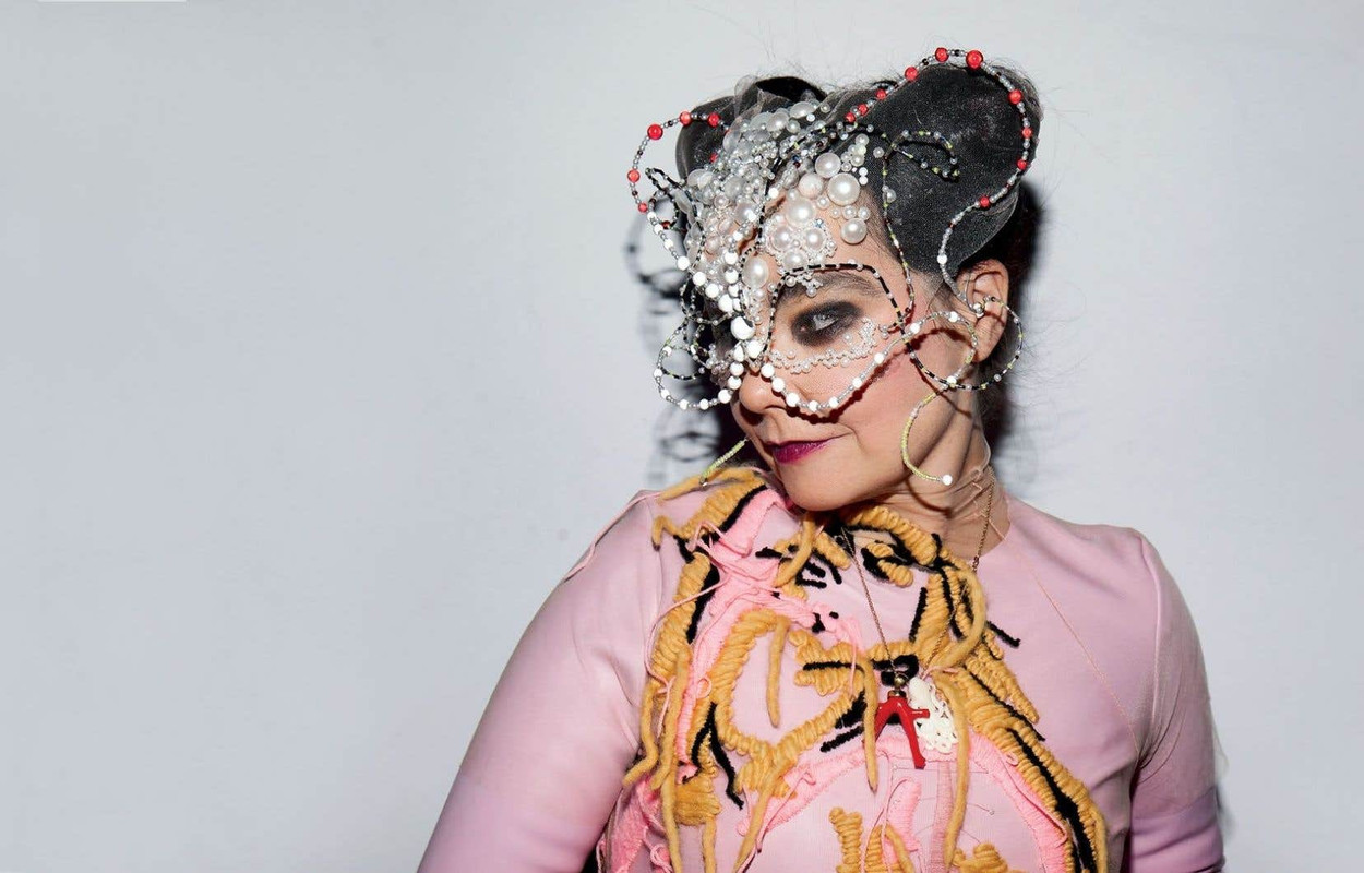 Björk Image