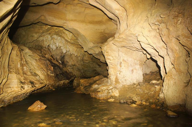 DE TORTUGAS Y PEREZOSOS. COSTA RICA 2019 - Blogs de Costa Rica - DIA 9: CAVERNAS DE VENADO (11)