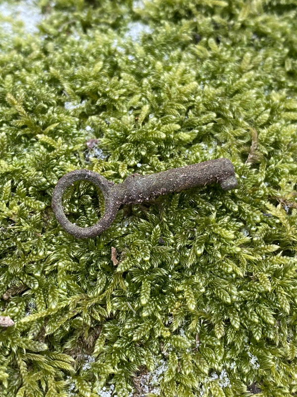 0F0D222C-1434-4B15-99B6-9650C69FDB0D