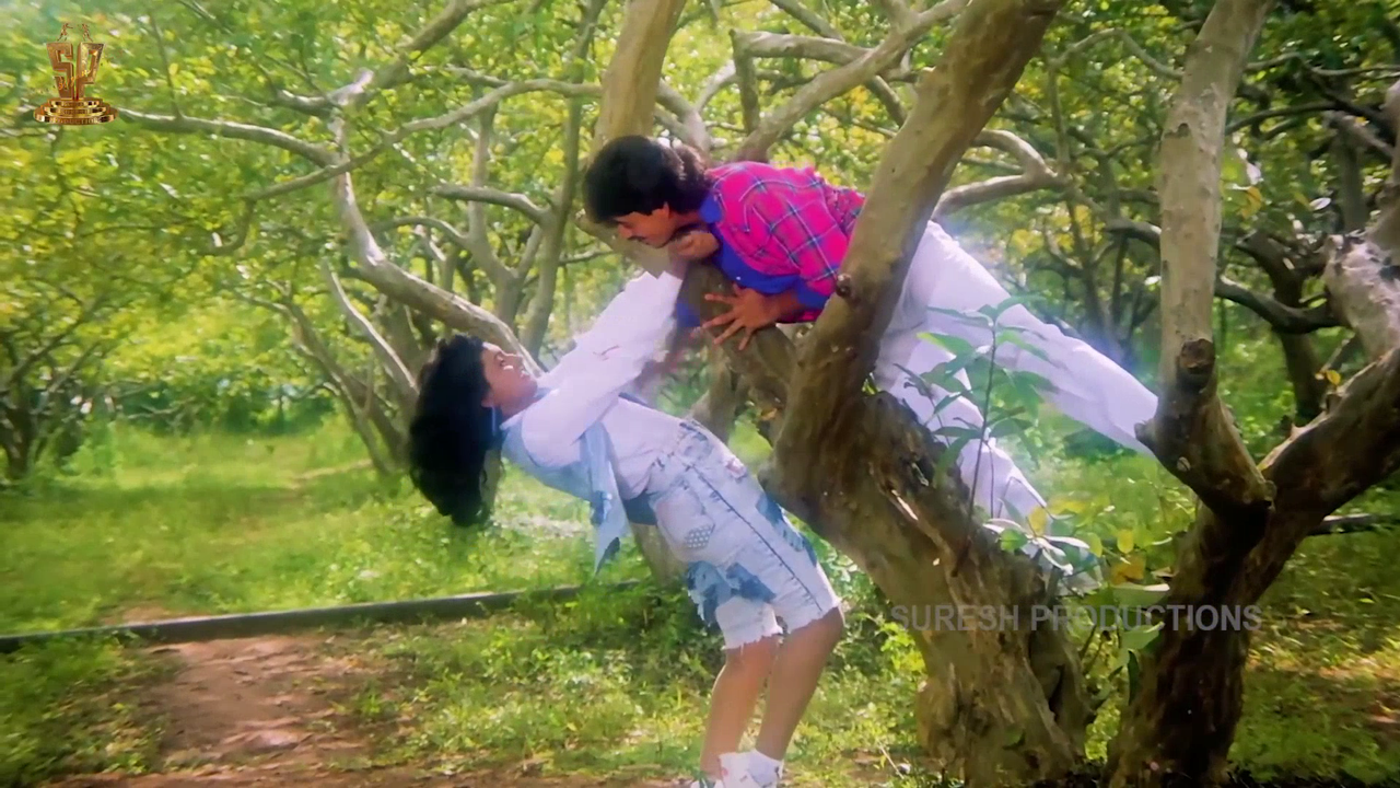 vlcsnap 2026 02 28 18h23m36s328