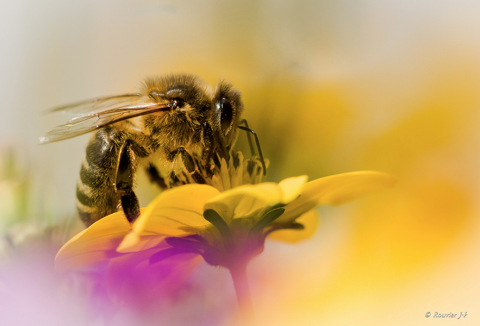 Capture d’écran 2017-04-26 ? 20.08.56