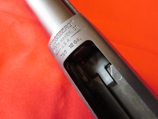 Waff-ank-Clearwater-042