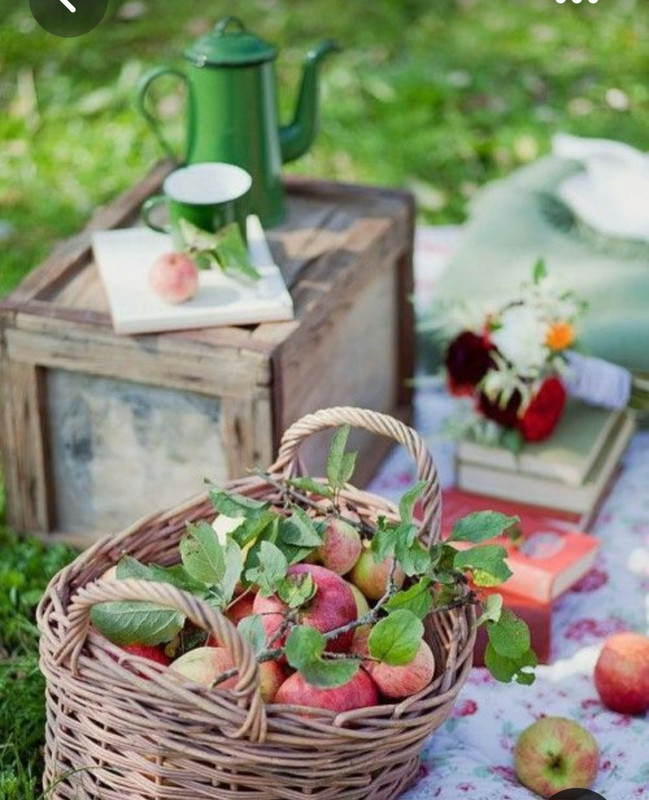 Screenshot_20230418_233654_Pinterest