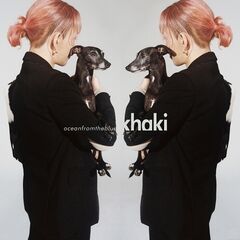 OceanFromTheBlue khaki 2020 MP3