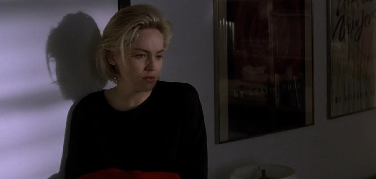 Sliver 1993 WebRip [Hindi + English] 480p, 720p ESub Screenshot