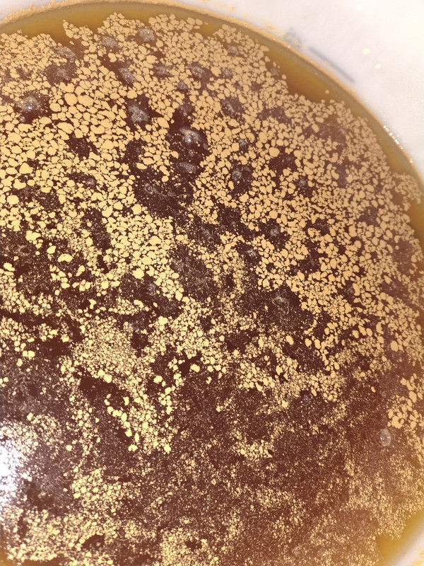 IMG 20251227 154412944