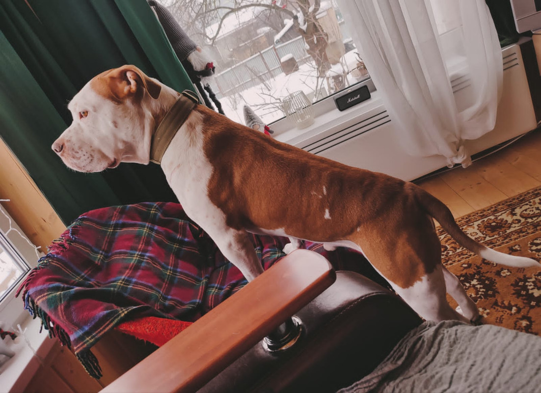 A9F9CB5D-8B13-4927-A1D2-F4A20C767F08