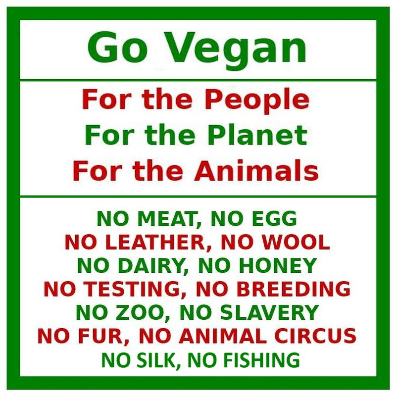 Go-Vegan-For-these-reasons.jpg