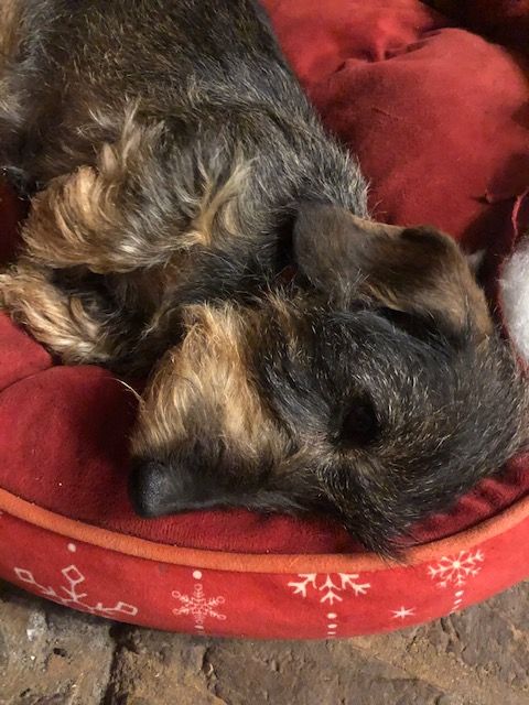 [Image: IMG-6882.jpg]