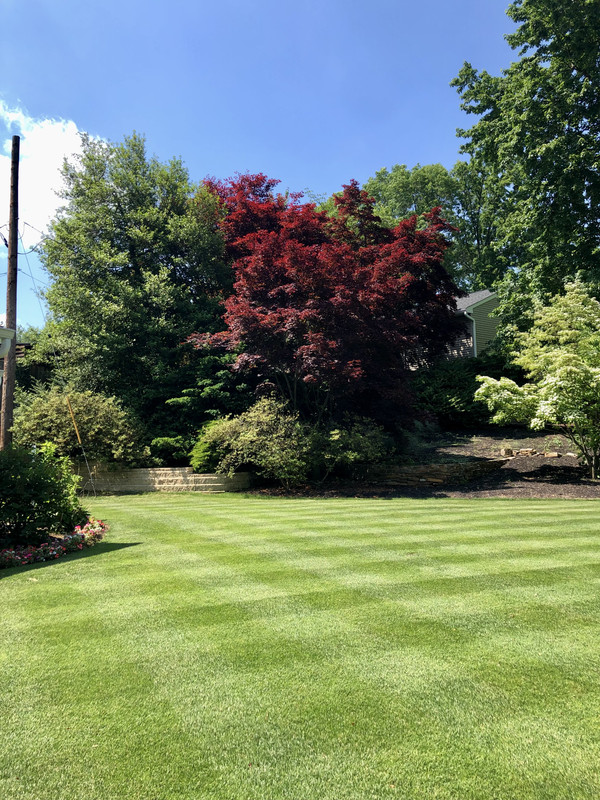 DC90FB95-09FC-406E-949C-C412261C771E