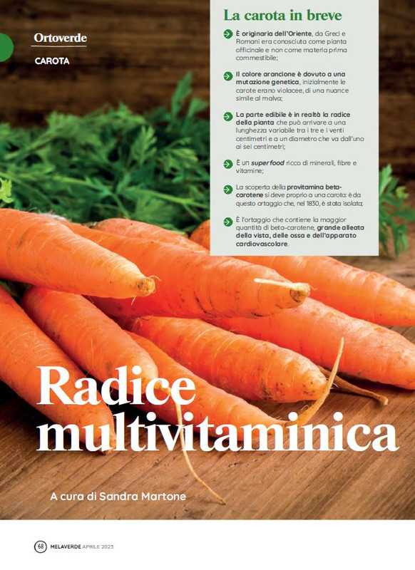 melaverde Apr 2023 (9)